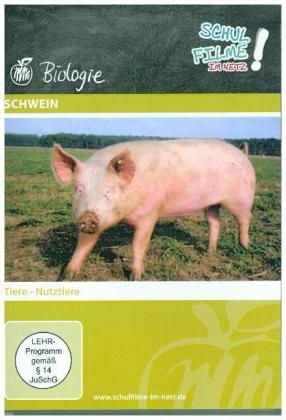 Schwein, 1 DVD