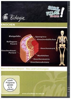 Knochen, 1 DVD
