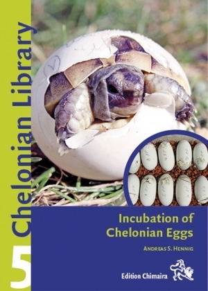 Incubating Chelonian Eggs