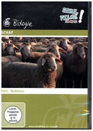 Schaf, 1 DVD