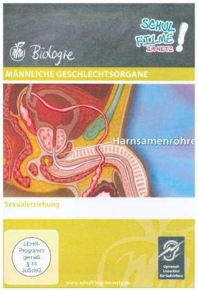 M&auml;nnliche Geschlechtsorgane, 1 DVD