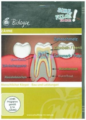 Zähne, 1 DVD