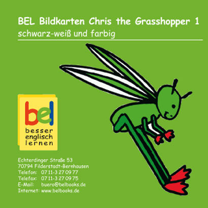 Learning English with Chris the Grasshopper - Bildkarten CD 1 - Beate Baylie, Karin Schweizer