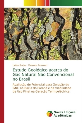 Estudo Geol&oacute;gico acerca do G&aacute;s Natural N&atilde;o Convencional no Brasil - Haline Rocha, Colombo Tassinari