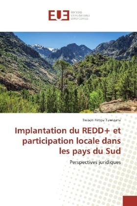 Implantation du REDD+ et participation locale dans les pays du Sud - Twison Fimpa Tuwizana