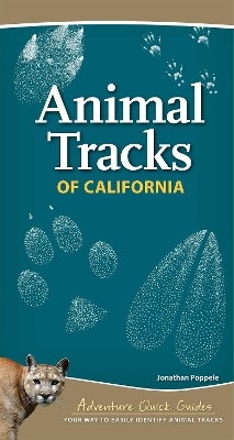 Animal Tracks of California