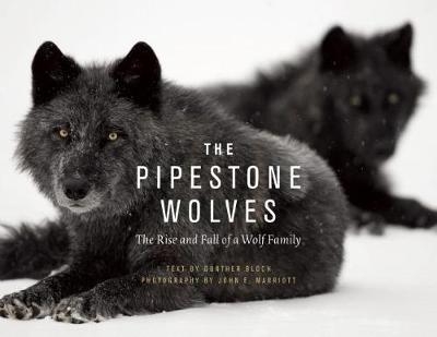 The Pipestone Wolves - Gnther Bloch