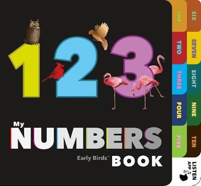 My Numbers Book - Patricia Mitter