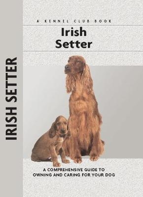 Irish Setter - Margaret Williams
