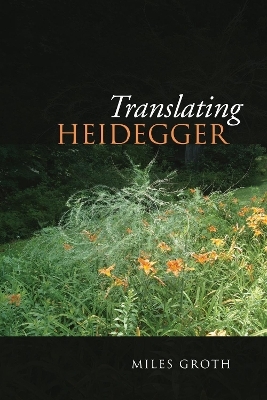 Translating Heidegger - Miles Groth