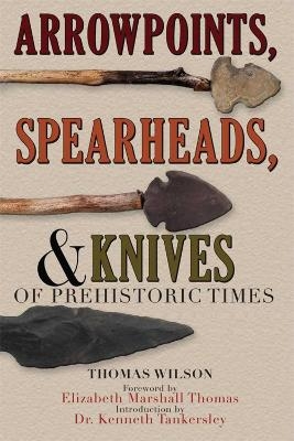 Arrowpoints, Spearheads, and Knives of Prehistoric Times - Thomas Wilson