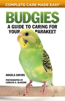 Budgies - Angela Davids