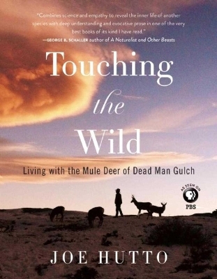 Touching the Wild - Joe Hutto