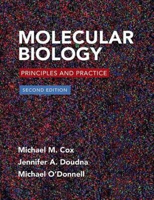 Molecular Biology plus LaunchPad