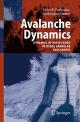 Avalanche Dynamics - S.P. Pudasaini, Kolumban Hutter