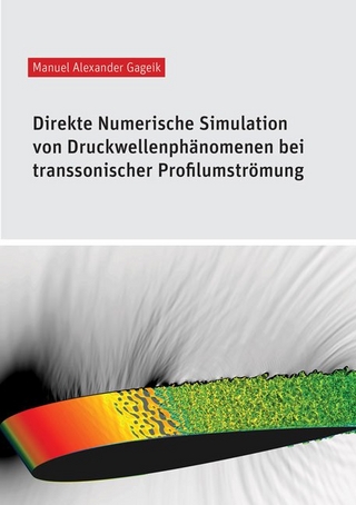 Direkte Numerische Simulation von Druckwellenphänomenen bei transsonischer Profilumströmung