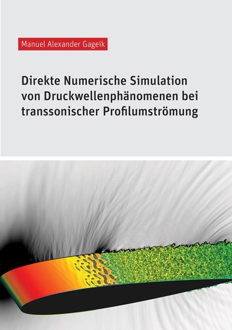 Direkte Numerische Simulation von Druckwellenphänomenen bei transsonischer Profilumströmung - Manuel Alexander Gageik