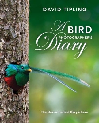 A Bird Photographer's Diary - David Tipling