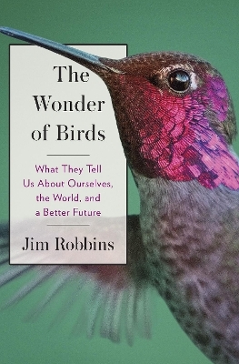 The Wonder of Birds - Jim Robbins