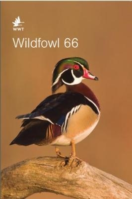 Wildfowl 66 - 