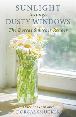 Sunlight through Dusty Windows - Dorcas Smucker