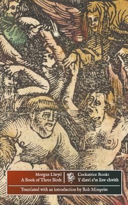 A Book of Three Birds