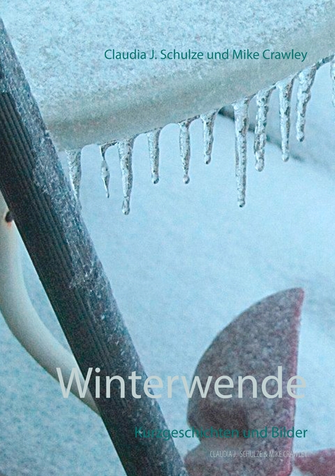 Winterwende - Claudia J. Schulze