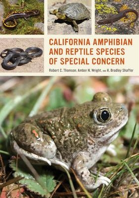 California Amphibian and Reptile Species of Special Concern - Robert C. Thomson, Amber N. Wright, H. Bradley Shaffer