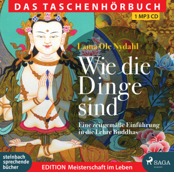 Wie die Dinge sind - Lama Ole Nydahl