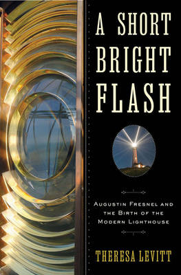 A Short Bright Flash - Theresa Levitt