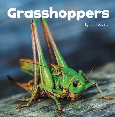 Grasshoppers - Lisa J. Amstutz