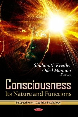 Consciousness - Oded Maimon