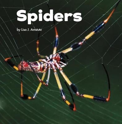 Spiders - Lisa J. Amstutz