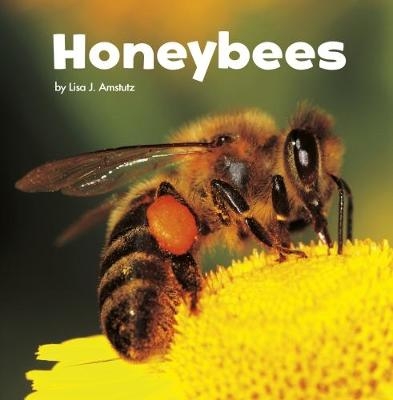 Honeybees - Lisa J. Amstutz