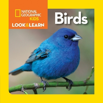 Look and Learn: Birds -  National Geographic Kids