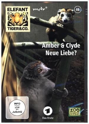 Elefant, Tiger & Co. - Amber & Clyde - Neue Liebe?, DVD