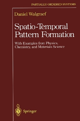 Spatio-Temporal Pattern Formation