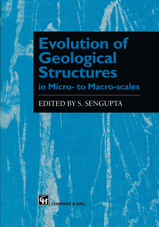 Evolution of Geological Structures in Micro- to Macro-scales