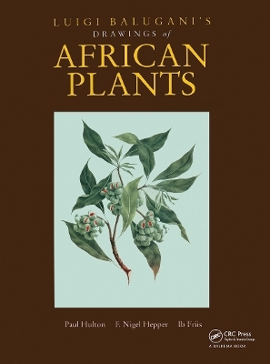 Luigi Balugani's Drawings of African Plants - Paul Hulton