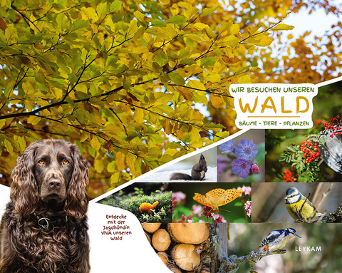 Wir besuchen unseren Wald - Entdecke mit der Jagdh&uuml;ndin VIVA unseren Wald - Georg Rothmann, Ingrid Flick