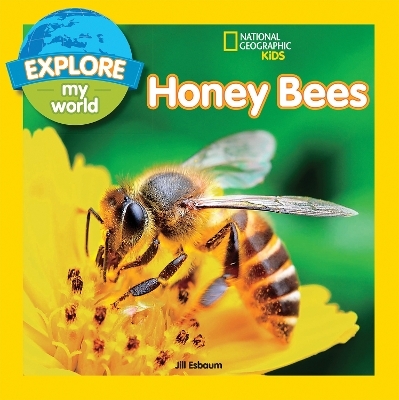 Explore My World: Honey Bees - Jill Esbaum