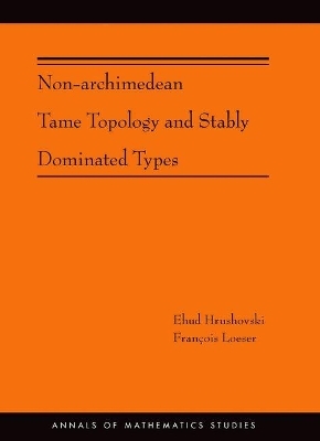 Non-Archimedean Tame Topology and Stably Dominated Types - Ehud Hrushovski, François Loeser