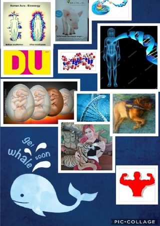 Leben ist tödlich. Ein Roman.