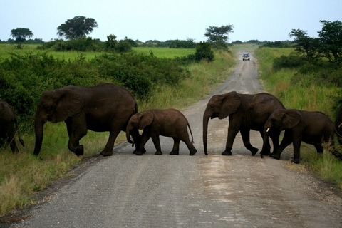 Uganda - Menschen, Tiere und Landschaften - Hartmut Rothg&auml;nger, Ute Hentschel