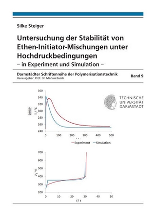 Untersuchung der Stabilität von Ethen-Initiator-Mischungen unter Hochdruckbedingungen