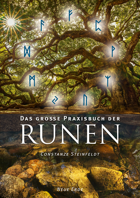 Das gro&szlig;e Praxisbuch der Runen - Constanze Steinfeldt