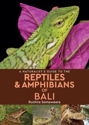 A Naturalist's Guide to the Reptiles & Amphibians of bali - Ruchira Somaweera