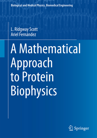 A Mathematical Approach to Protein Biophysics