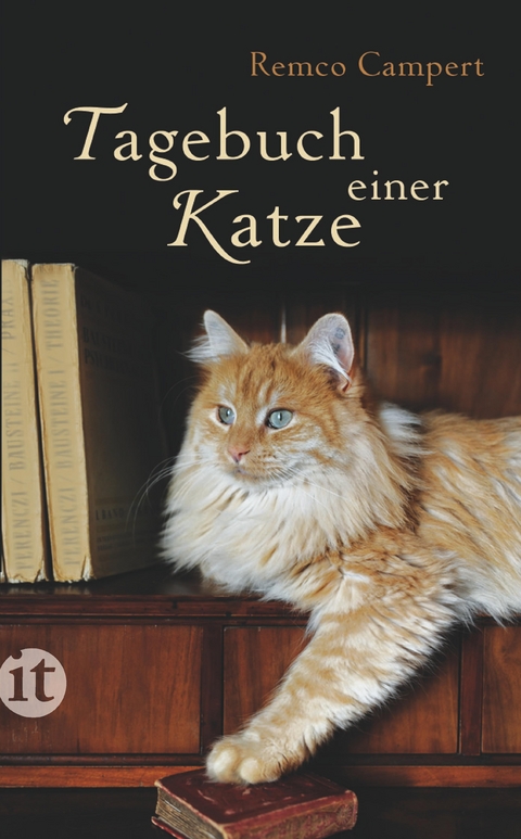 Tagebuch einer Katze - Remco Campert