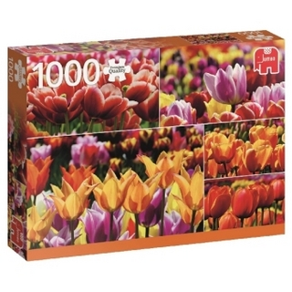 Holländische Tulpen (Puzzle)